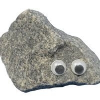 Pet Rock